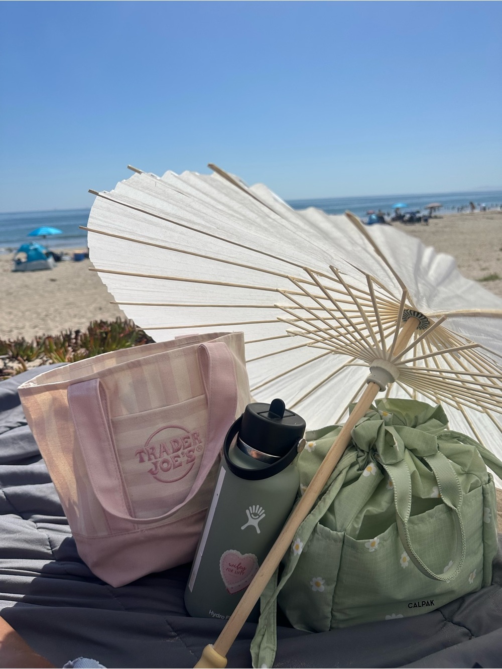 NWT Trader Joe's Pink and Cream Striped Mini Tote Bag
